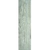 Forest Gris